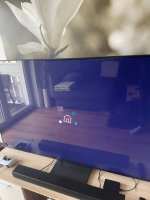 2026-04-03 16.00.40.jpg