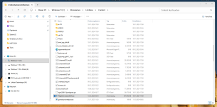 2026-04-09 18_47_31-C__XboxGames_Limitless_Content – Datei-Explorer.png