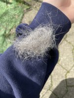 IMG_3272.jpeg
