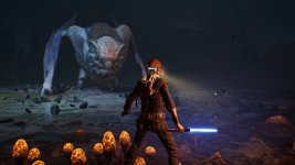starwarsjedifallenorder_2022_12_20_22_00_52_803.jpg starwarsjedifallenorder_2022_12_20_22_00_52_803.jpg