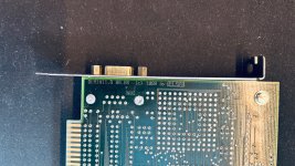 IMG_8656.jpeg