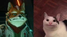 fox.jpg