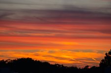 DSC00524.jpg