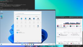 Win11-VM-Installation.jpg