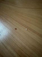 IMG_3265.jpeg