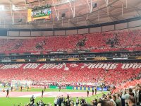 IMG_20260520_215419.jpg