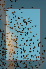 Screenshot 2026-05-22 100933.png