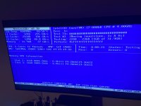 IMG_3252.jpeg
