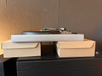 IMG_9540.jpeg