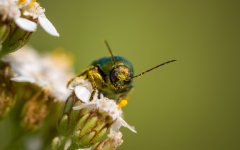 untitled (1 of 1)-1251.jpg