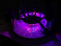 IMG_7361.jpeg