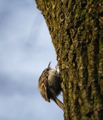 DSC07851.jpg