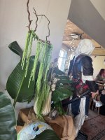 IMG_9049.jpeg