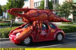 funny-car-photos-seafood-slug-bug2.jpg