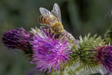 _MG_7358-Topaz-Sharpen-Strong-Denoise.jpg