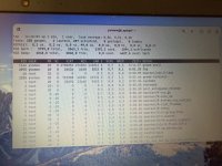 IMG_2976.jpeg