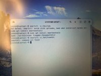 IMG_2980.jpeg