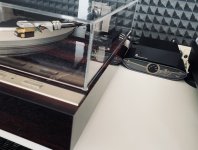 IMG_8353.jpeg