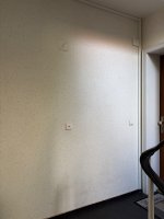 IMG_4855.jpeg