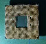 IMG_1525.jpeg