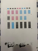 IMG_7666.jpeg