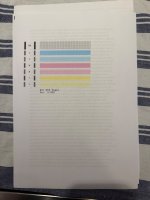 IMG_7667.jpeg