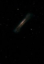 IMG_0269.jpeg
