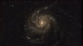 IMG_0302.jpeg