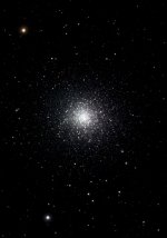 IMG_0310.jpeg