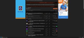 Windows 11 Browser Ansicht.jpg