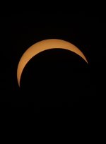 IMG_0384.jpeg