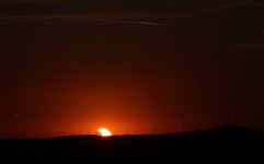 IMG_0393.jpeg