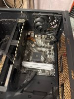 IMG_7955.jpeg