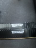 IMG_6937.jpeg