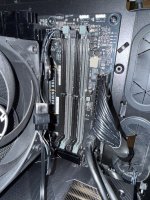 IMG_7575.jpeg