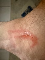 IMG_3307.jpeg