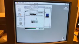 IMG_2130.jpeg