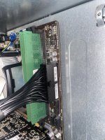 IMG_4010.jpeg