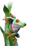 frog3.png