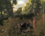 theHunter 2011-02-18 00-04-59-60.jpg