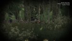 theHunter 2011-04-02 10-15-14-21.jpg