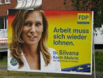 Silvana_Koch_Mehrin.jpg