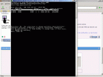 image31.gif