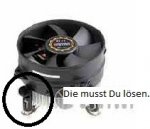 Kühler.jpg