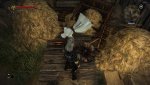 witcher2 2011-05-29 00-03-05-87.jpg