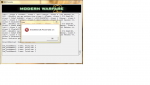 Error Meldung von MW2.png