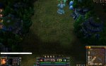 bug.jpg