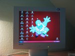 monitorfehler 003a.jpg
