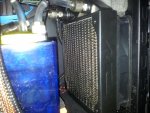 2011-09-30 12.30.59.jpg