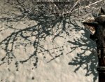 skyrim Schatten hd5870.jpg